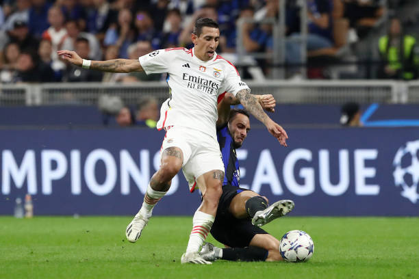 这支年轻球 这支年轻球